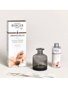 MAISON BERGER DIFFUSORE PER AMBIENTE A STICK + FREAGRANZA... 2