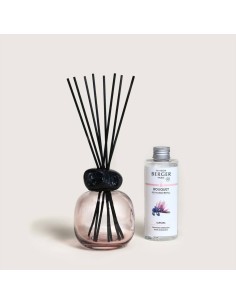 MAISON BERGER DIFFUSORE PER AMBIENTE A STICK + FREAGRANZA...