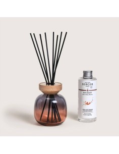 MAISON BERGER DIFFUSORE PER AMBIENTE A STICK + FREAGRANZA...