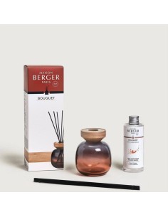 MAISON BERGER DIFFUSORE PER AMBIENTE A STICK + FREAGRANZA... 2
