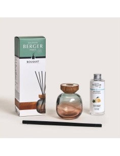 MAISON BERGER DIFFUSORE PER AMBIENTE A STICK + FREAGRANZA... 2