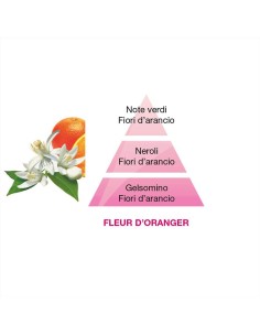 MAISON BERGER RICARICA FRAGRANZA 500 ML PER DIFFUSORE... 2