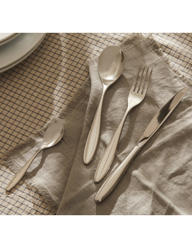 ALESSI SERVIZIO POSATE 24 PZ - MAMI