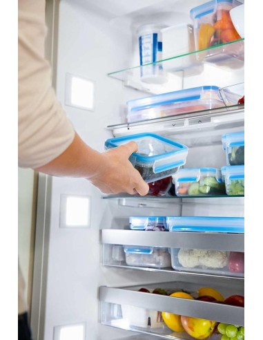 EMSA SET 2  CONTENITORI ERMETICI  0,6 L PER...