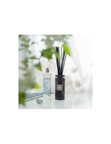 ESTEBAN PARIS DIFFUSORE A BASTONCINI 100 ML -...