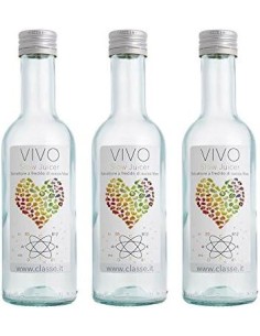 CLASSE BOTTIGLIE PER SUCCO 250 ML 2