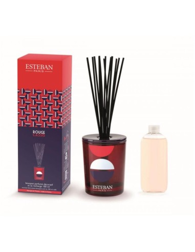 ESTEBAN PARIS DIFFUSORE A BASTONCINI 100 ML -...