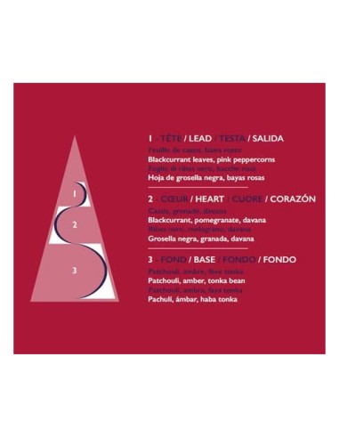 ESTEBAN PARIS ESTEBAN PARIS DIFFUSORE A...