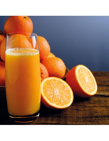 PADERNO SPREMIAGRUMI A LEVA PROFESSIONALE 18X46 CM