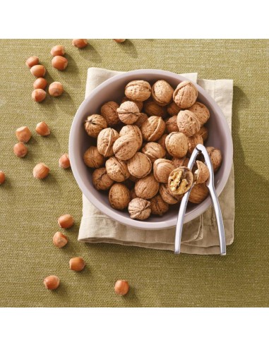 PADERNO SCHIACCIANOCI IN ACCIAIO 16 CM