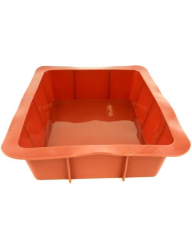 PADERNO STAMPO A FORMA DI LASAGNERA 30X25 CM...