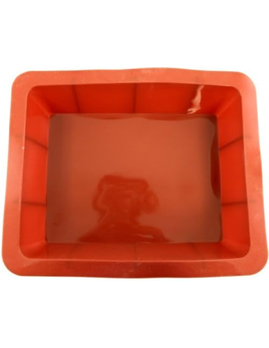 PADERNO STAMPO A FORMA DI LASAGNERA 30X25 CM...