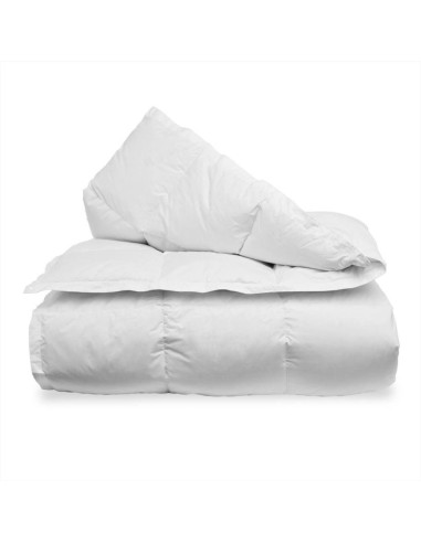 DAUNENSTEP PIUMINO 90% PIUMINO D'OCA - D200...