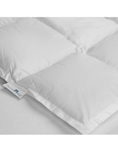 DAUNENSTEP PIUMINO 90% PIUMINO D'OCA - D200...