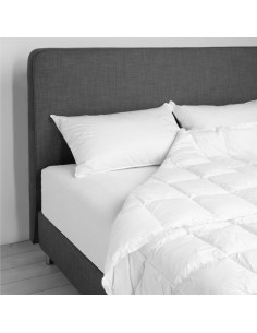 DAUNENSTEP PIUMINO 100% PIUMINO D'OCA - D400 CLASSIC WINTER 2