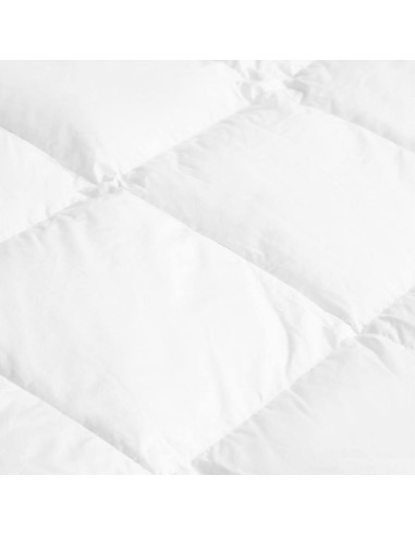 DAUNENSTEP PIUMINO 100% PIUMINO D'OCA - D400...