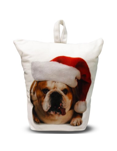 TIMSTOR FERMAPORTA NATALIZIO CON LED