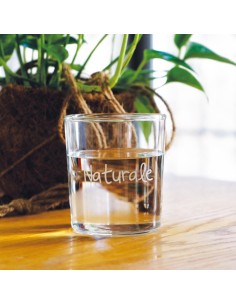 WD LIFESTYLE SET 6 BICCHIERI ACQUA 370 ML CON SCRITTE... 2