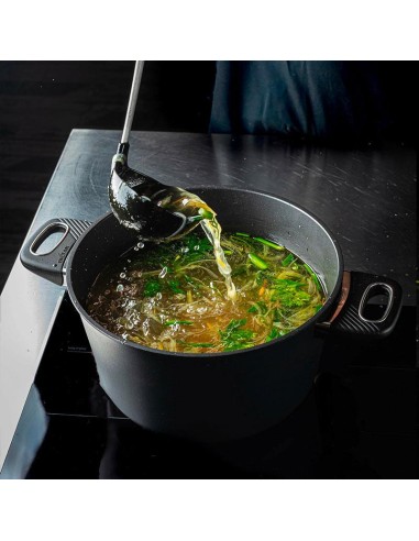 GASTROLUX PENTOLA INDUZIONE ANTIADERENTE 2...