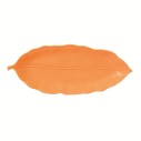 ARANCIONE