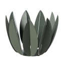 SALVIA