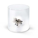 MUCCA